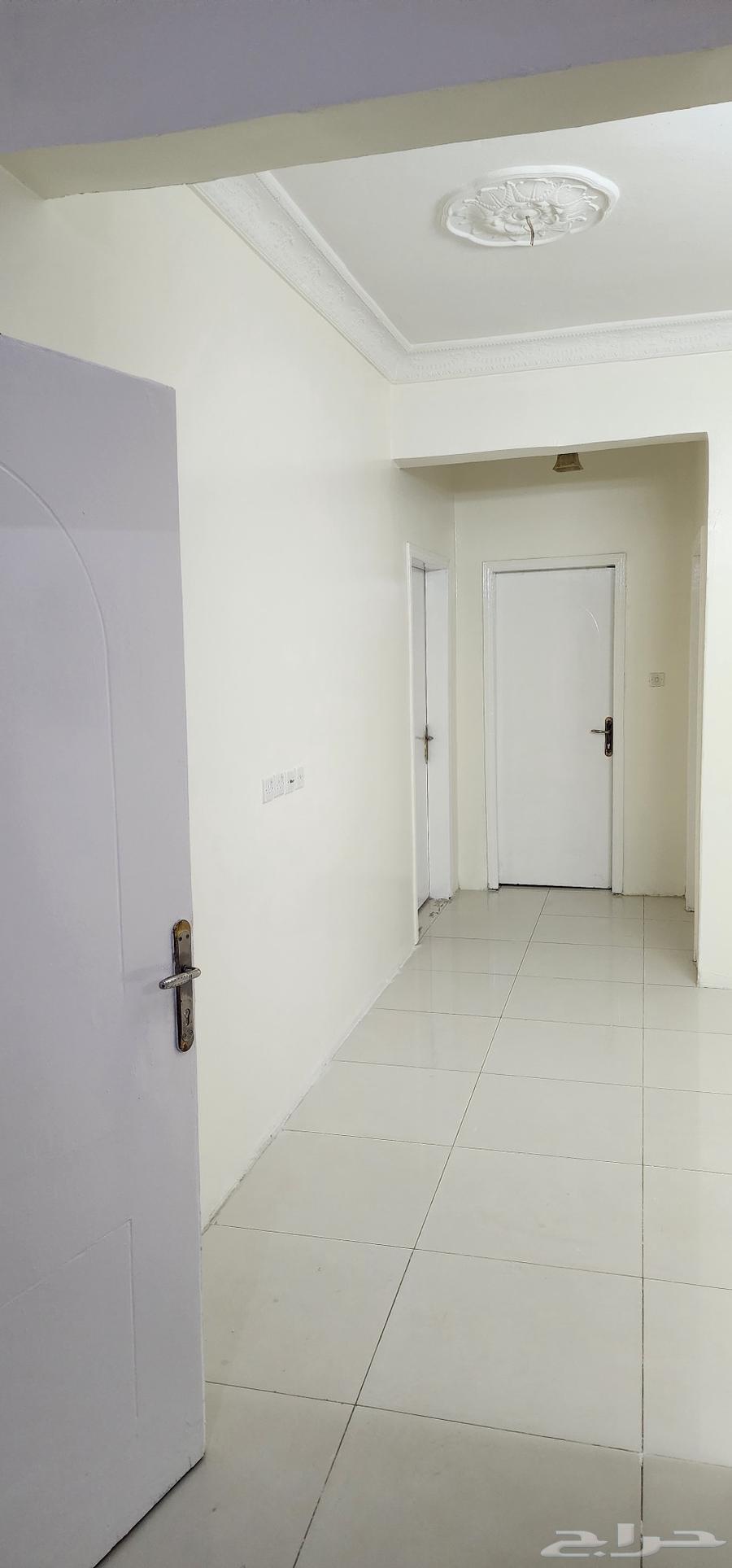 صبغ بويات داخلية وخارجيه64229016709762110