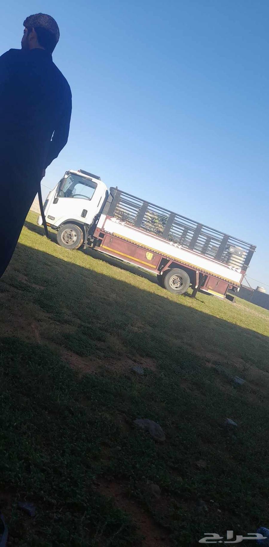 Dina Furniture Moving Within Riyadh and Outside for Relocation, Unloading and Transport Services64228638145283111