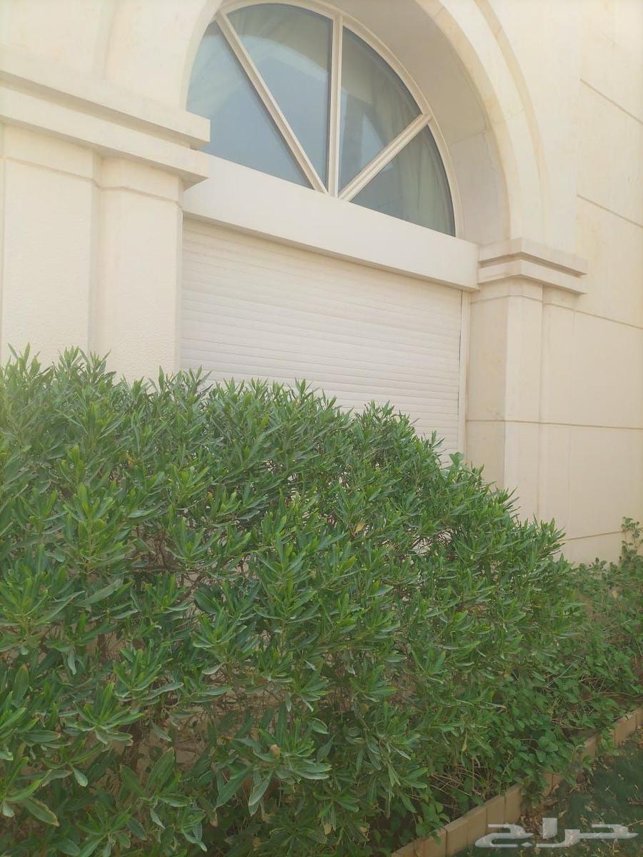 Shutter Maintenance and Repair64228272569985113