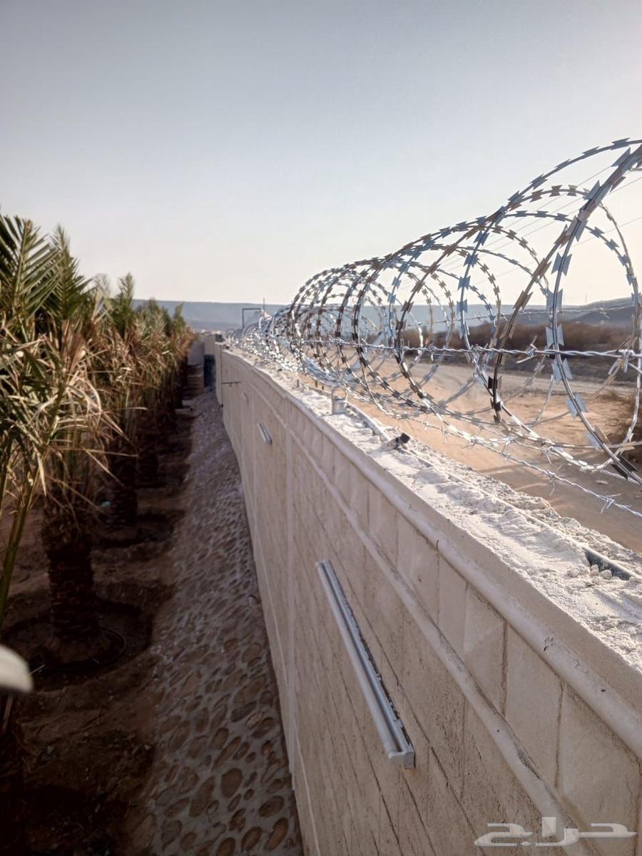 توريد وتركيب شبوك السياج مزارع64225862967811113