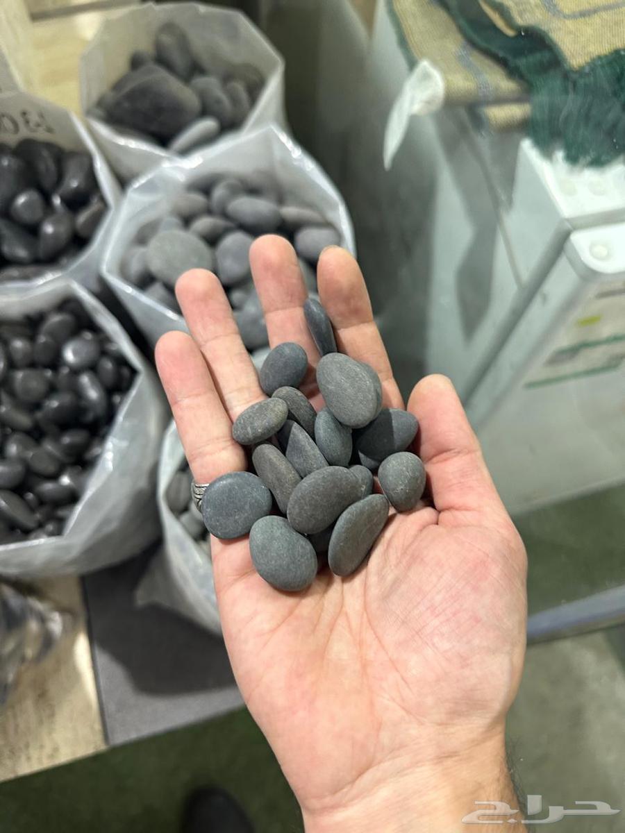 حجر زينه بحص زينه حصى زينه للحدائق ولممرات وديكوارات داخليه64225865015553110