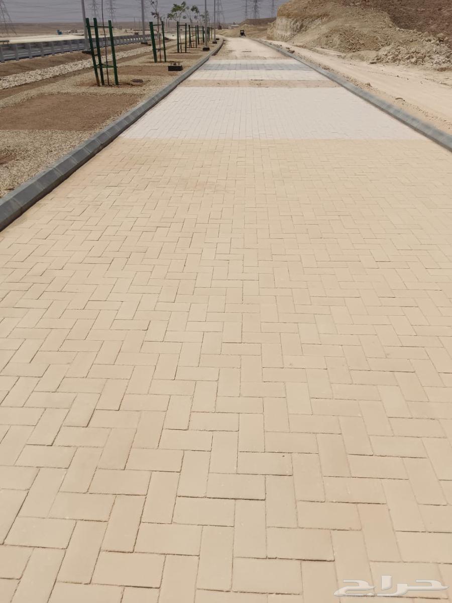 Interlock and Baldoora, God willing, Amana64229386071809110