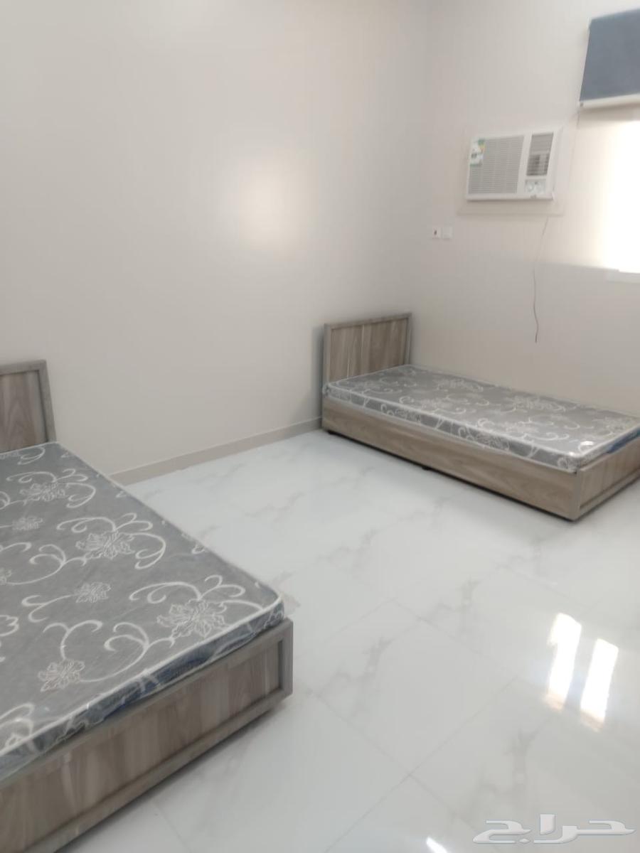 يوجد شقق للايجار عزاب جديده النعيريه حي الخليج64225633853057113