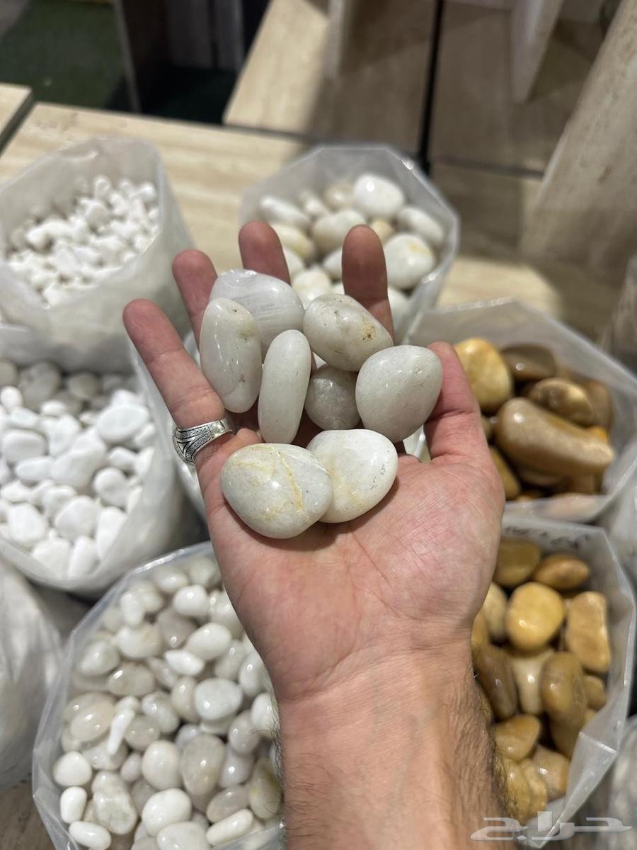 حجر زينه بحص زينه حصى زينه للحدائق ولممرات وديكوارات داخليه64225865015553111