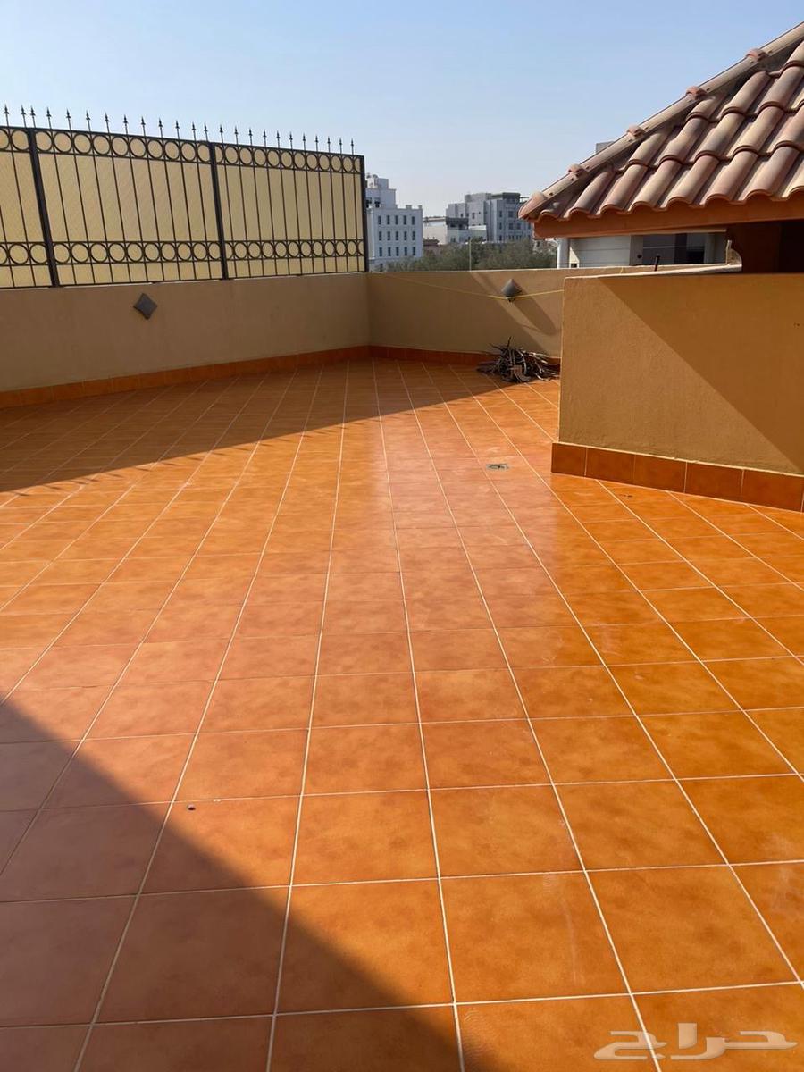 جلي رخام حجر بلاط سيراميك64229015275651111