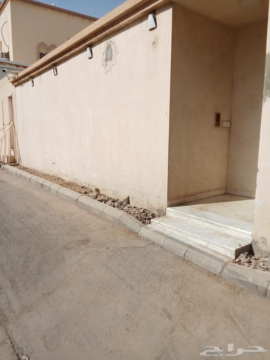 Installing an external interlock for the pavement while preserving the tomato64228635987459111