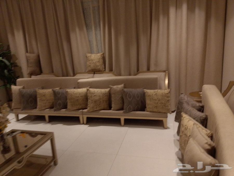 Couch, Carpet, Mosque, and Carpet Steam Cleaning and Cockroach Spray Services in Jeddah64228273486339111