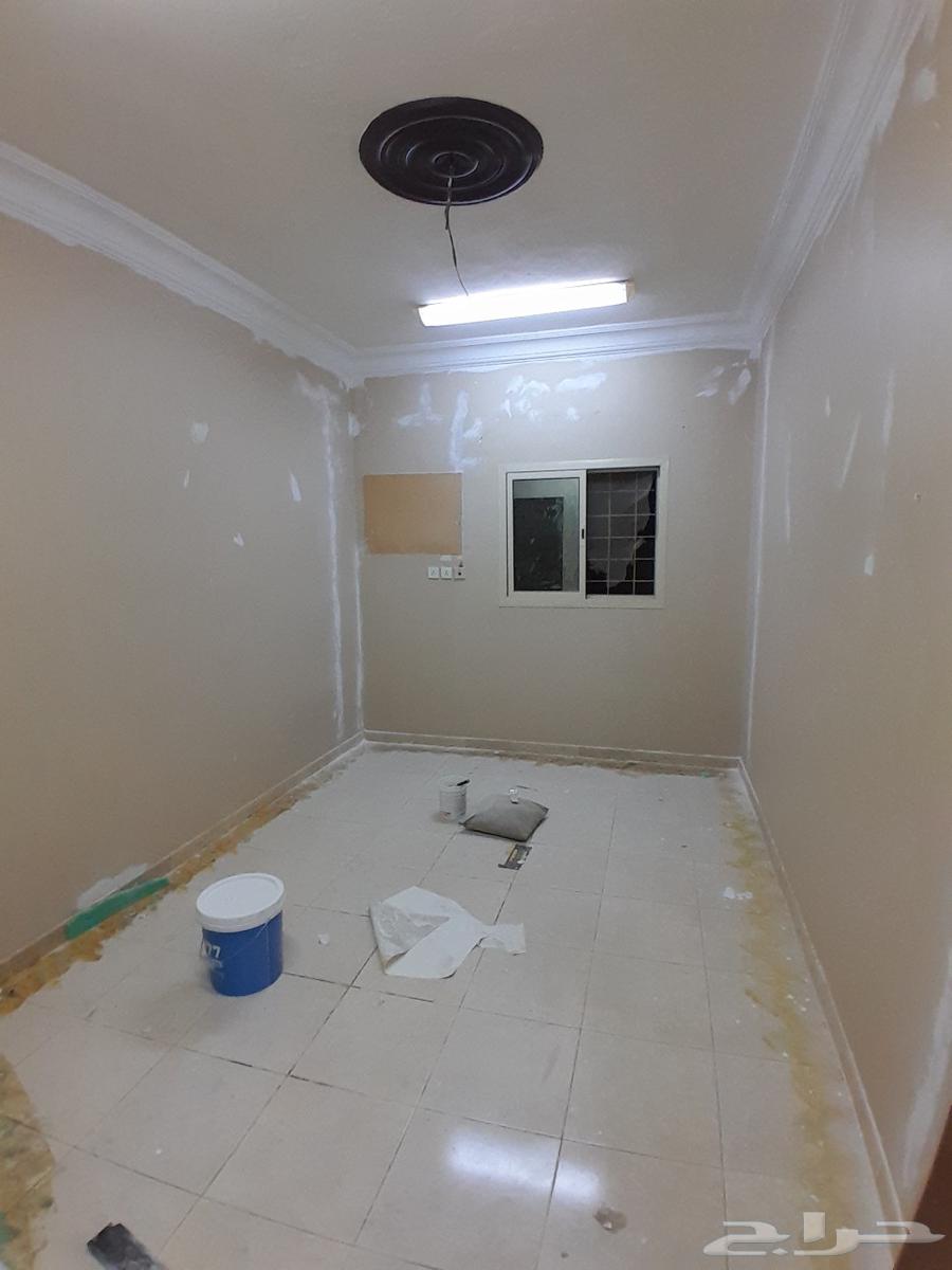 Painting in Dammam, Khobar, Qatif, Dharan64229181680003110