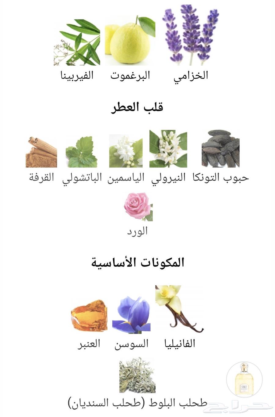 من نوادر جيرلان Mouchoir de Monsieur Guerlain64669124946563114