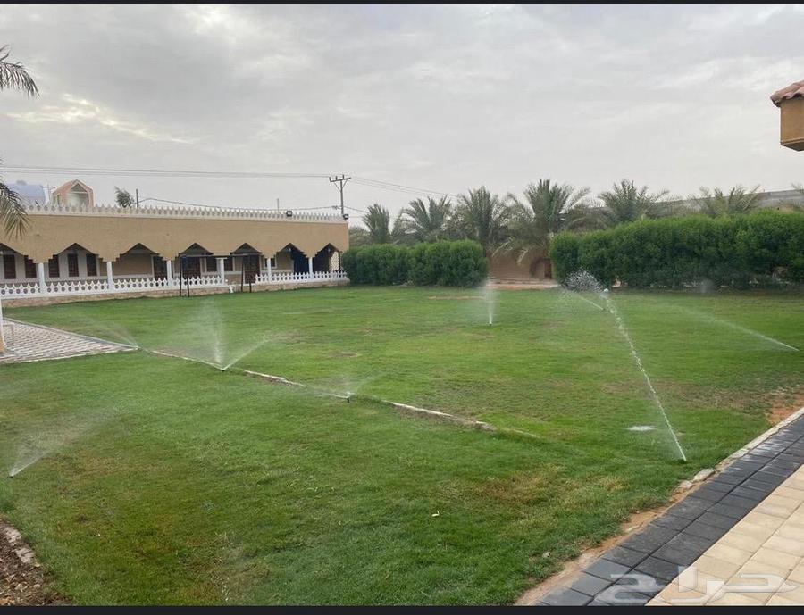 منتجع الذوق الرفيع للإيجار اليومي الموقع الخرج العفجه64149885286401113
