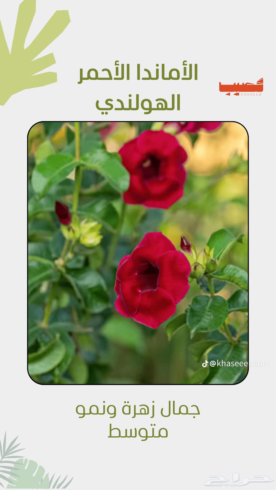 Landscape and Irrigation Network Design64168254114690110