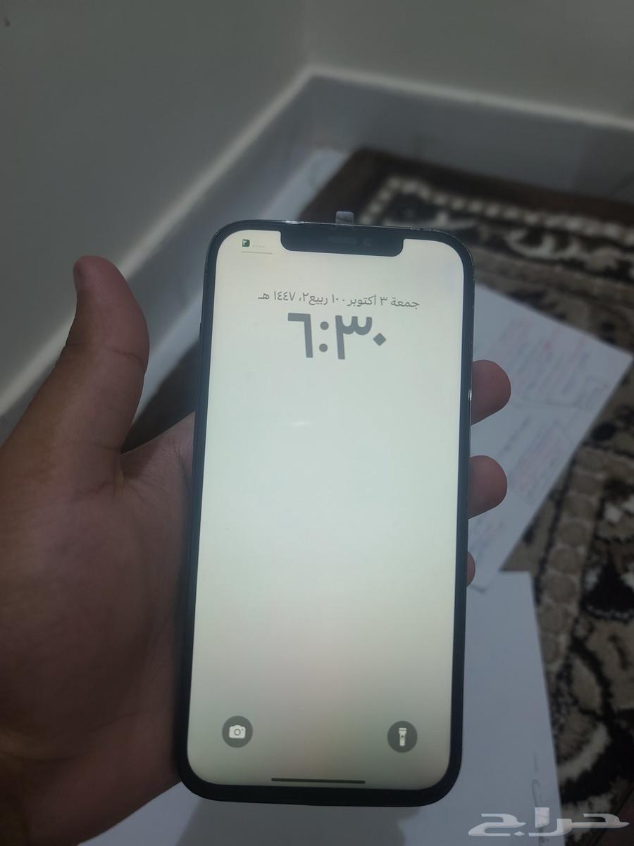 iPhone 12 Pro Max 25664453709910017110