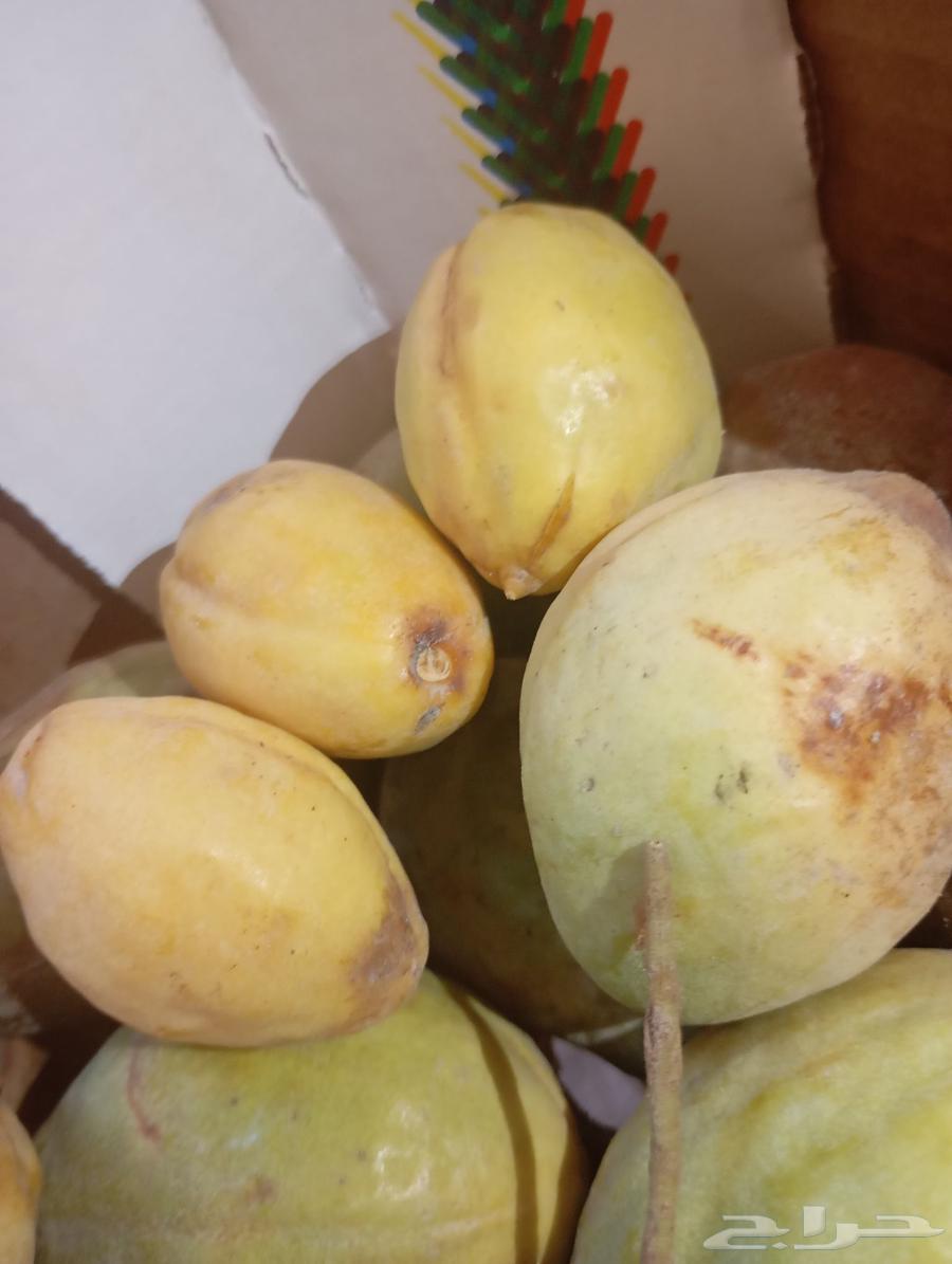 لوز سوبر جامبو64167857304962114