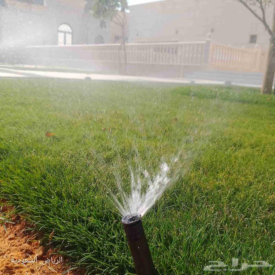 Landscape and Irrigation Network Design64168254114690111