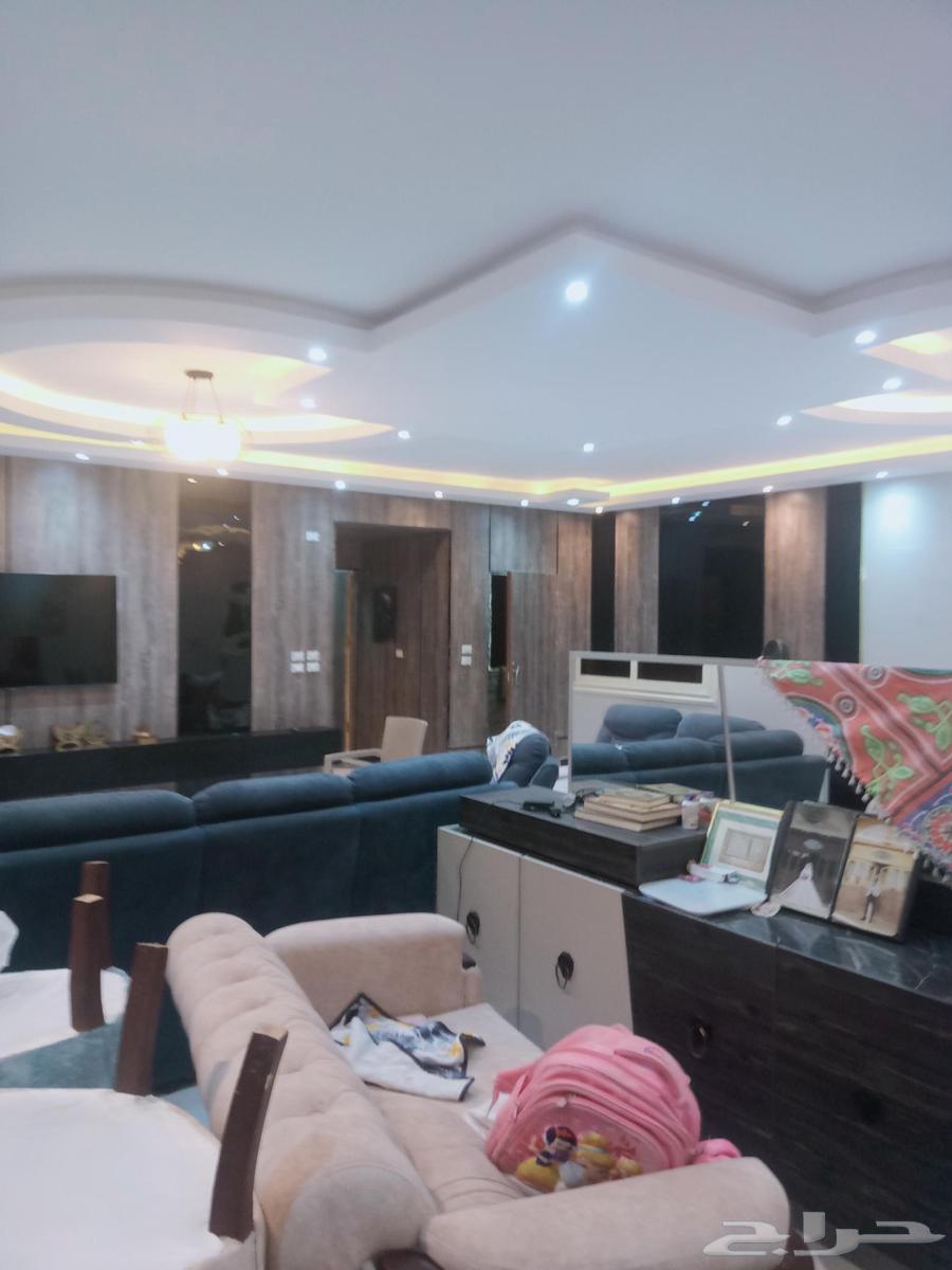 فنى ديكورات ودهانات64168046159490111