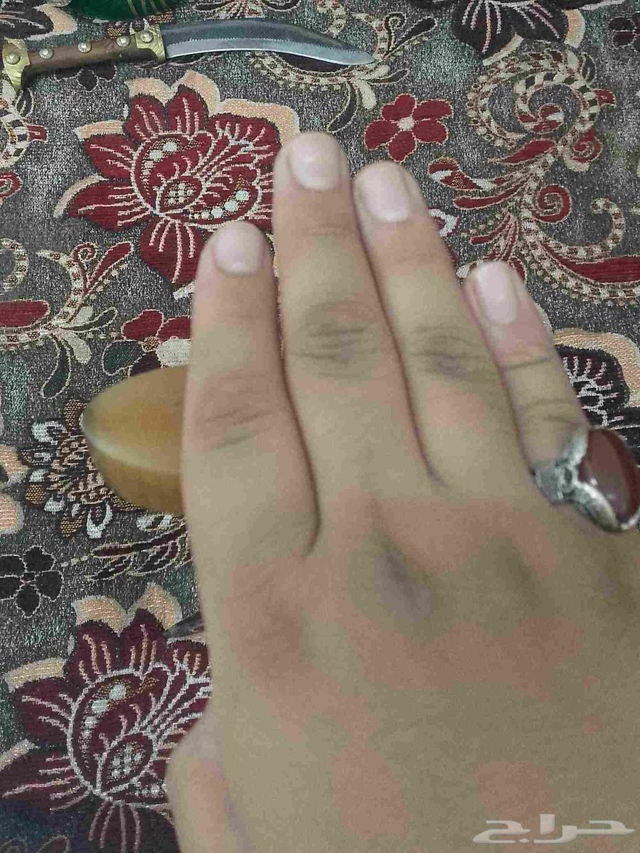 خنجر للبيع64676312306945113