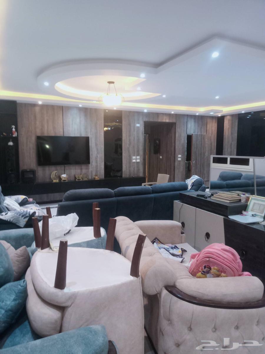 فنى ديكورات ودهانات64168046159490110