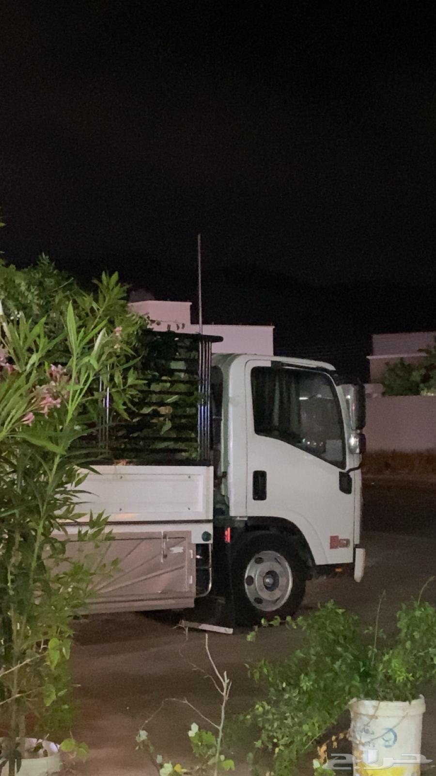 مشوار دينا64241651607809110