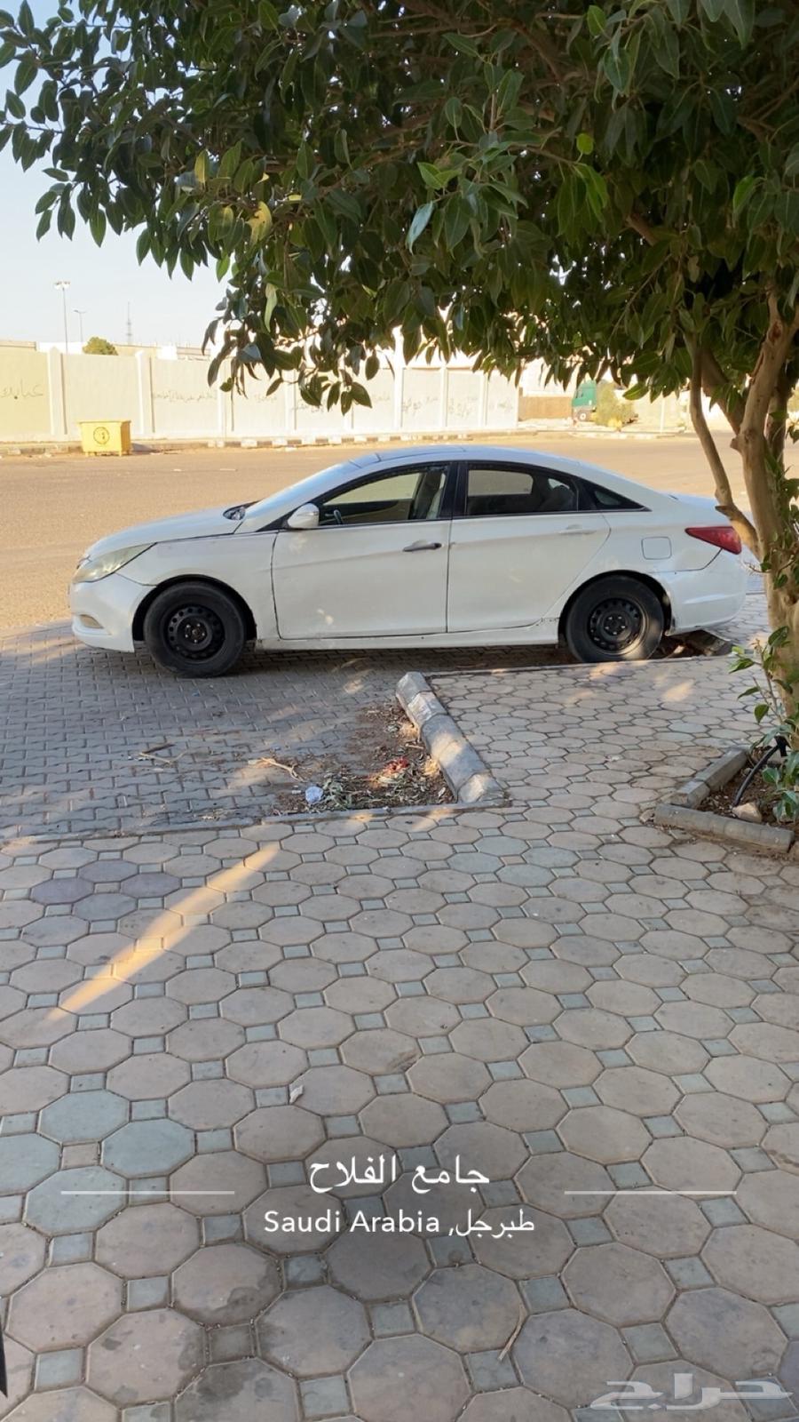 Delivery from Amman, Jordan to Riyadh, walking after tomorrow64241844843393110