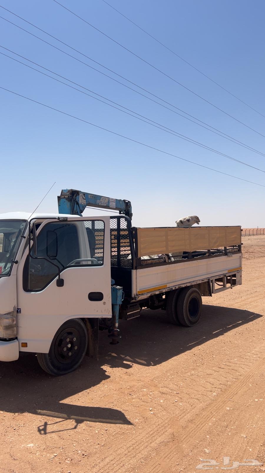 Today's departure, everything is allowed for the transfer64240954635139110