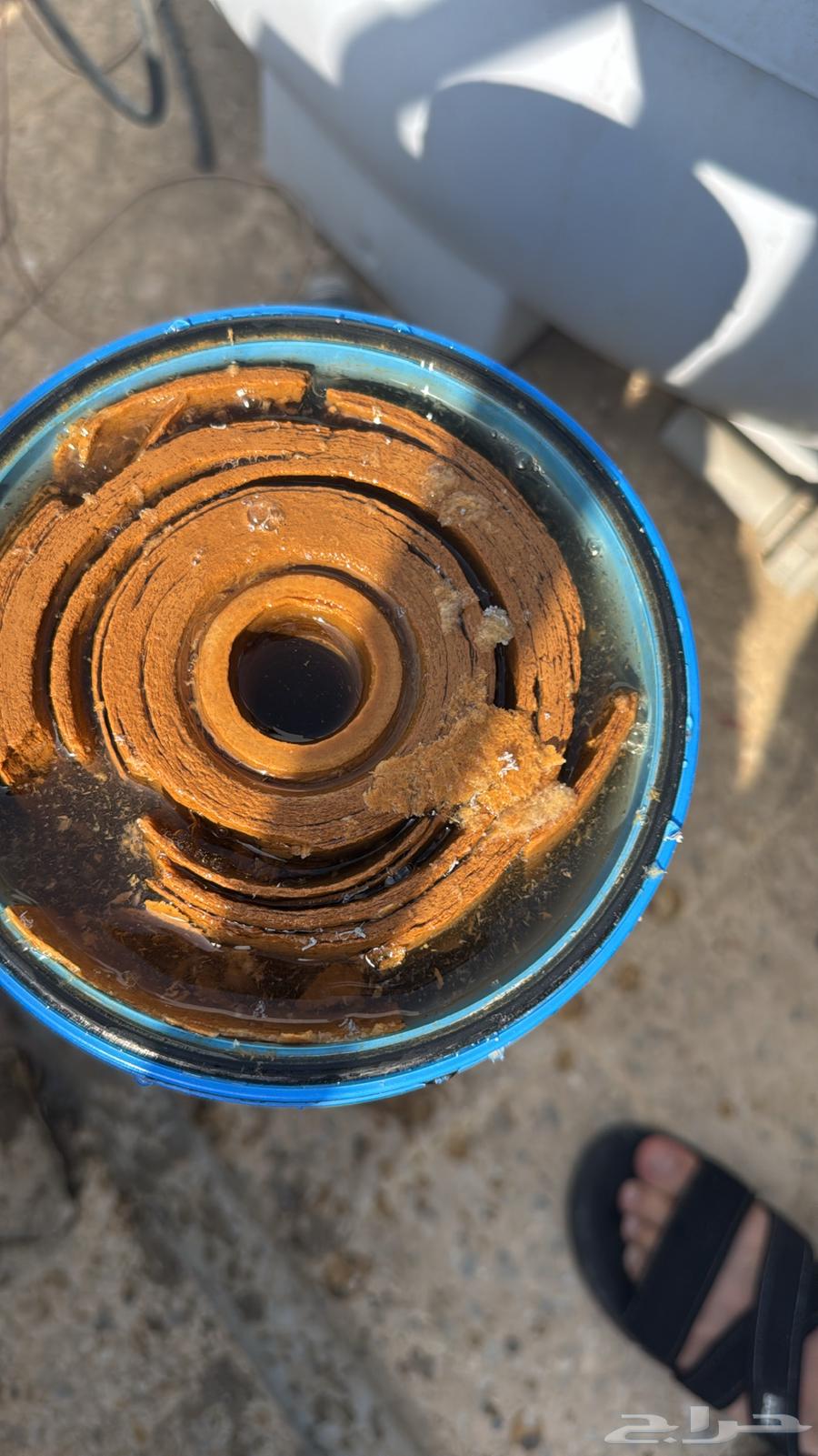 Maintenance of desalination filters64244831517953112