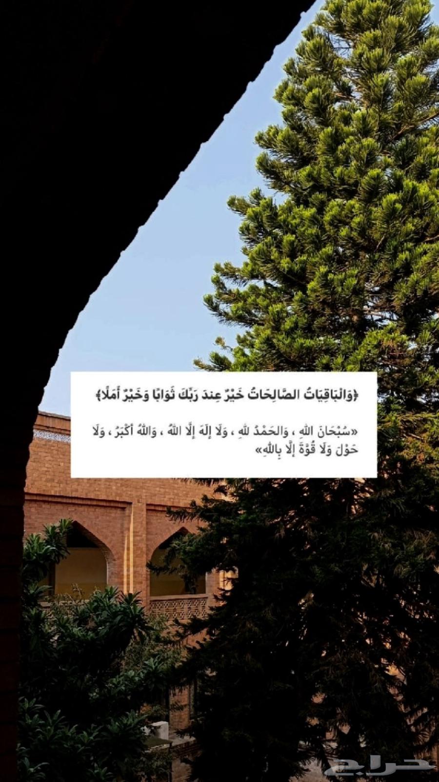 كداد من. نجران الى شرورة وابها64241319598595110