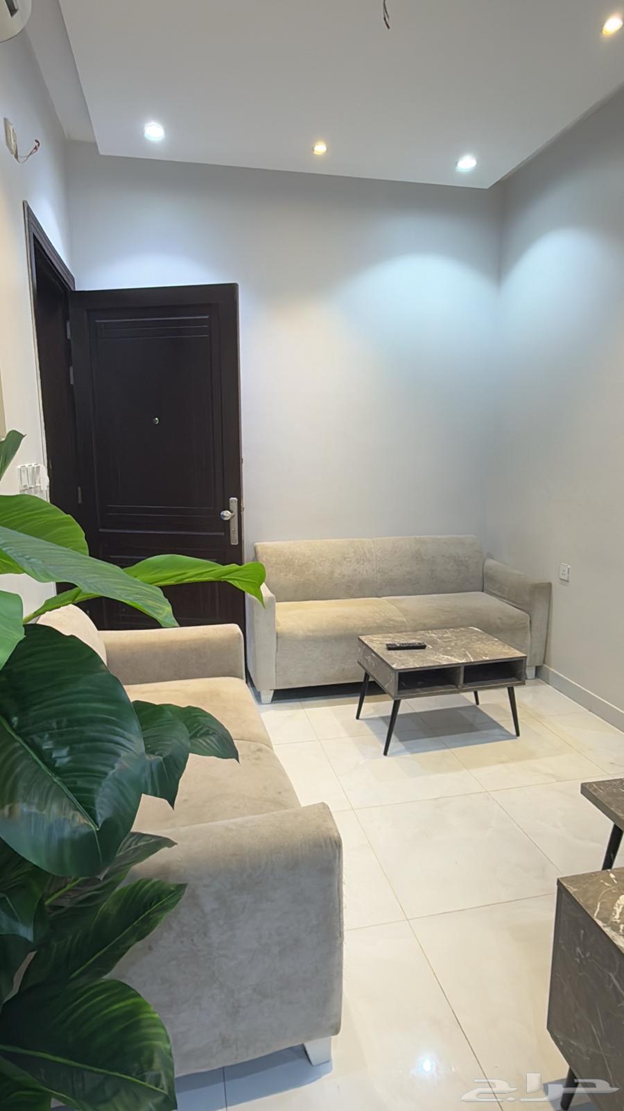 شقق مفروشة للإيجار الشهري في جدة64240138716674110