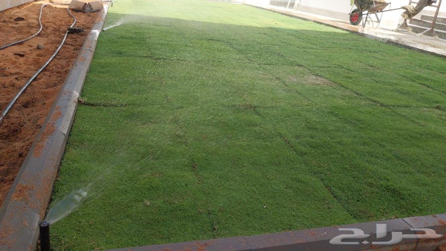 أبو ندا لتنسق حدائق64241652603649112