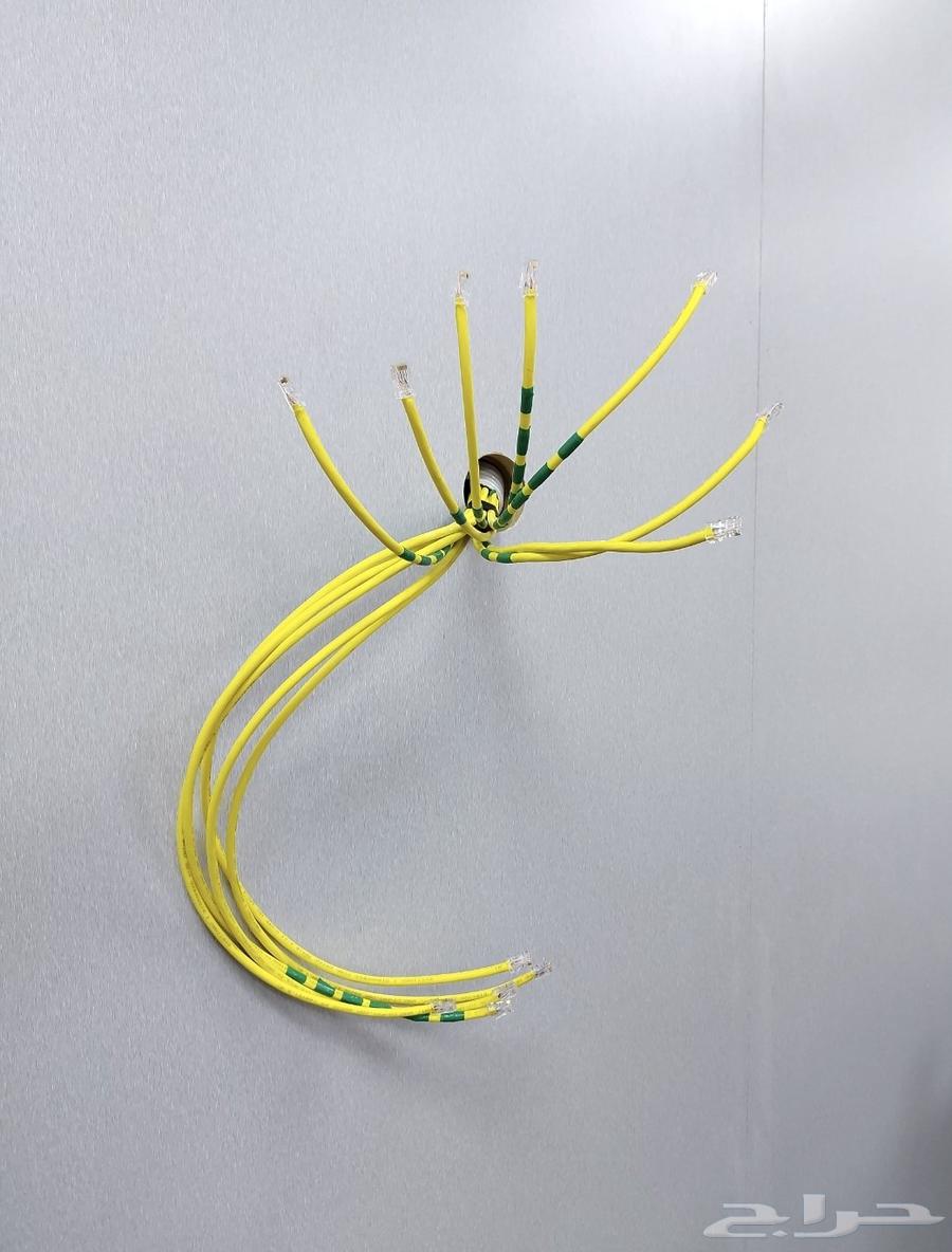 فنى شبكات الانترنت وبرامجه بالمدينة المنورة64240300480642112