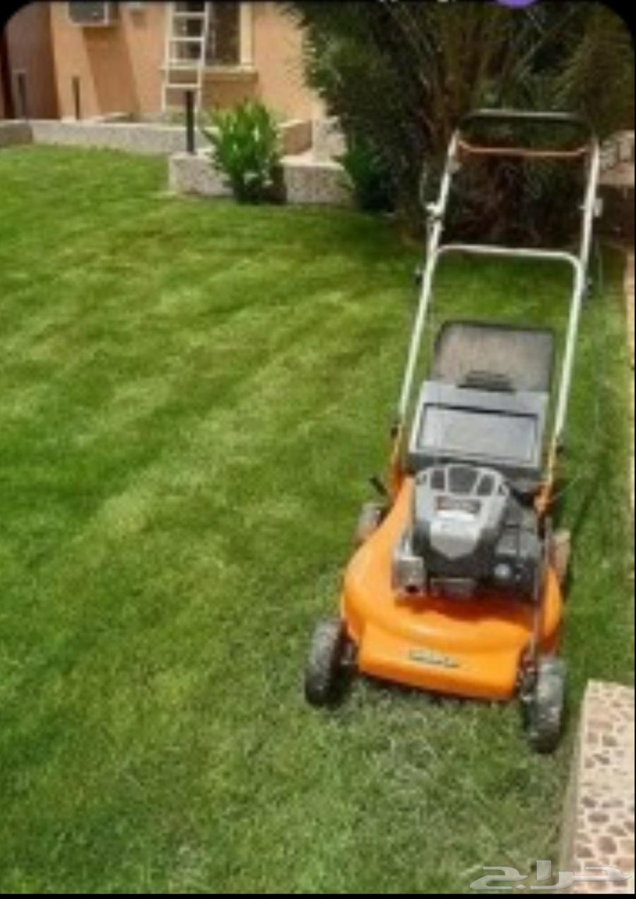 قص الثيل الطبيعي64240624440706110