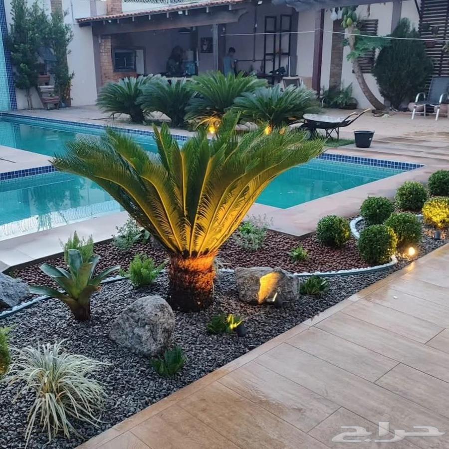 تنسيق حدائق جده ومكه64240952586883112