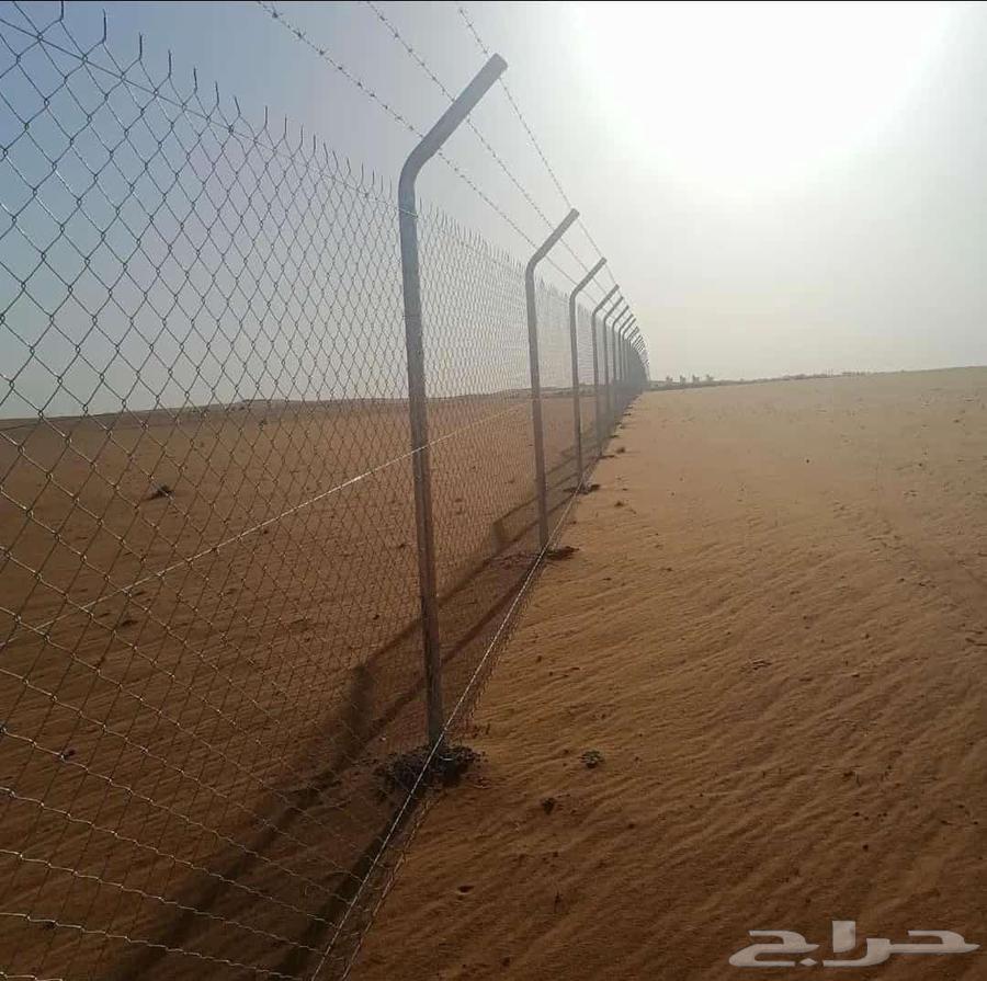 Date_palm_and_tree_planting64240786165763111