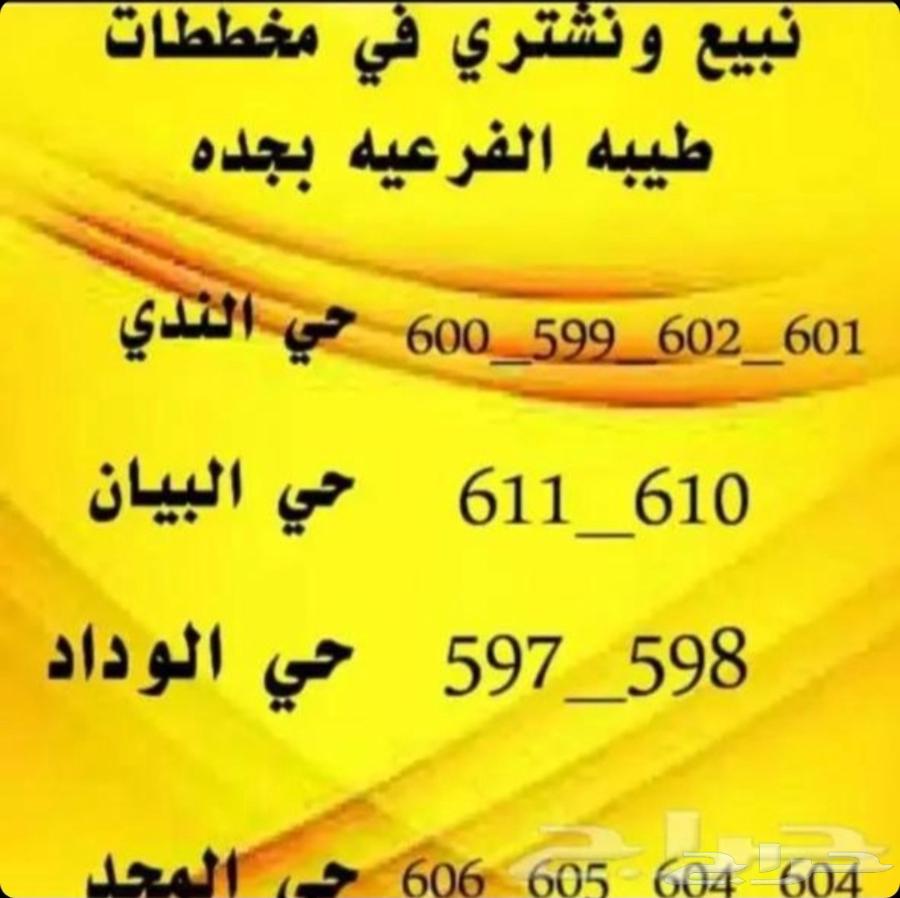 نبيع ونشتري في جميع مخططات شمال جده بيع وشراء وتسويق الاراضي64240289523842111