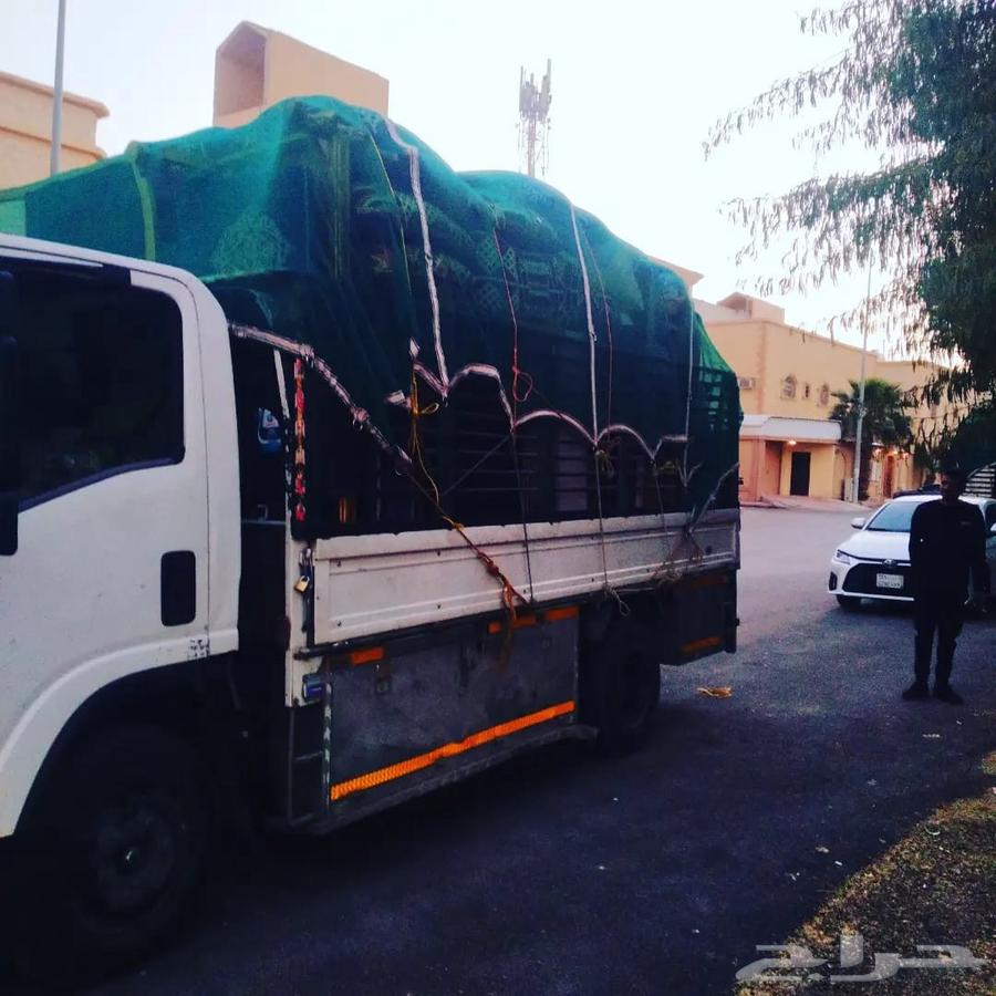 دينا نقل عفش داخل وخارج الرياض64241145744258110