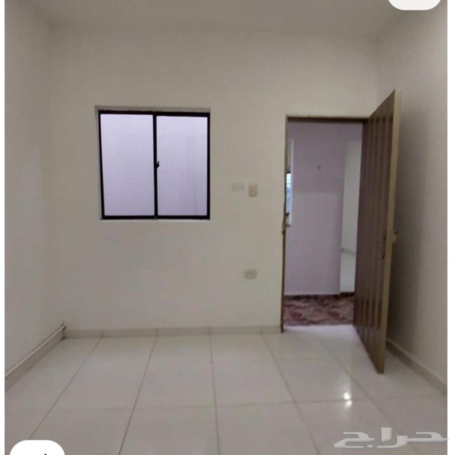 Painter, paint master, coloring master, paint technician64253797231746111