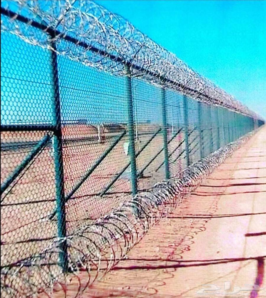 توريدنخيل ومقاول شبوك64241847056641112