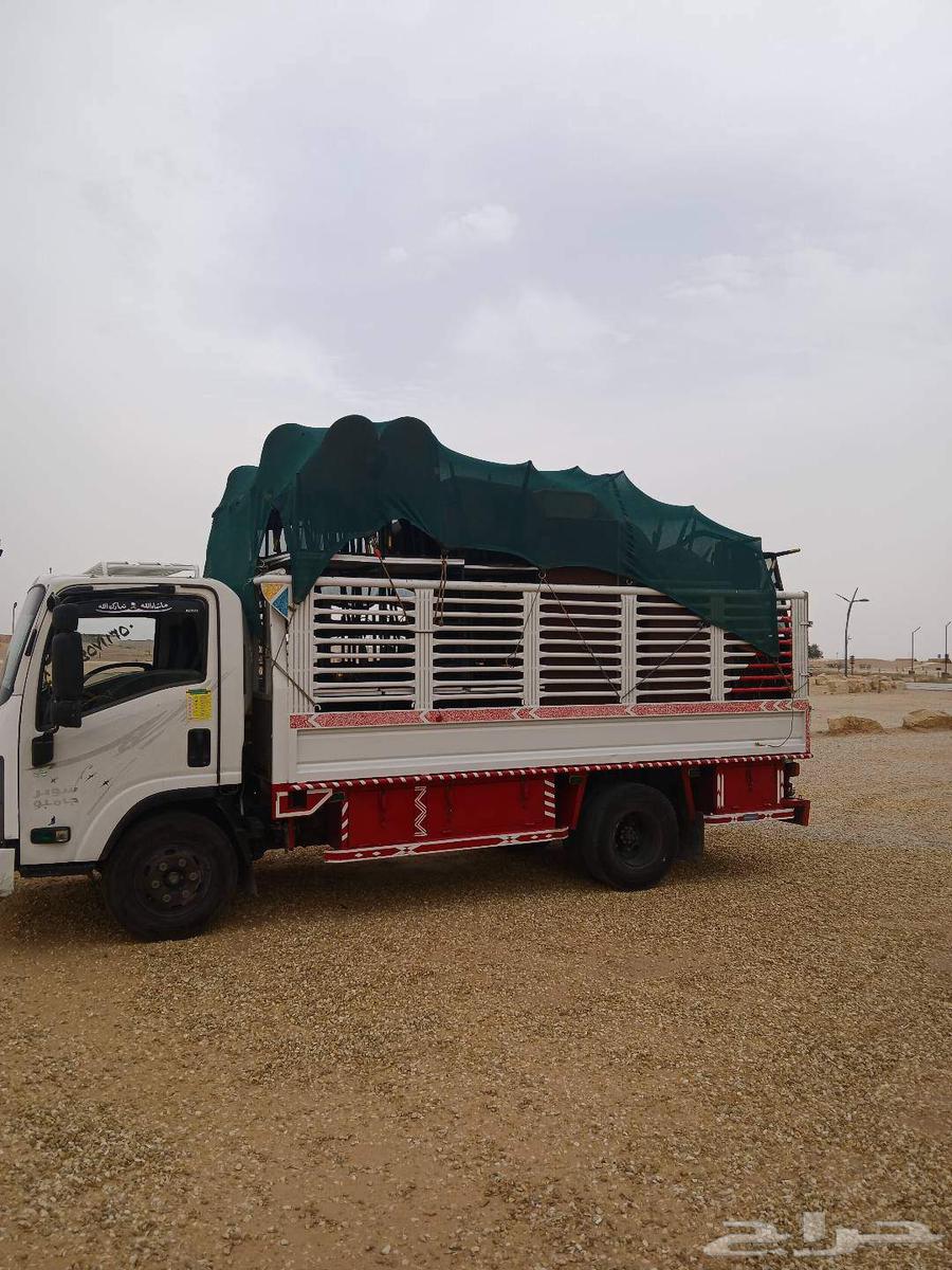 ونيت نقل عفش داخل وخارج الرياض مع الفك والتركيب64459943136514110