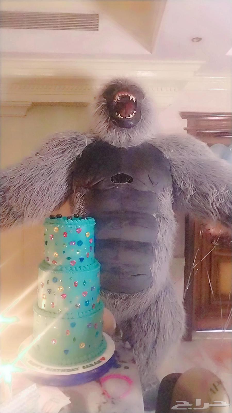 مهرجه بالرياض وخارج الرياض64241485969409110