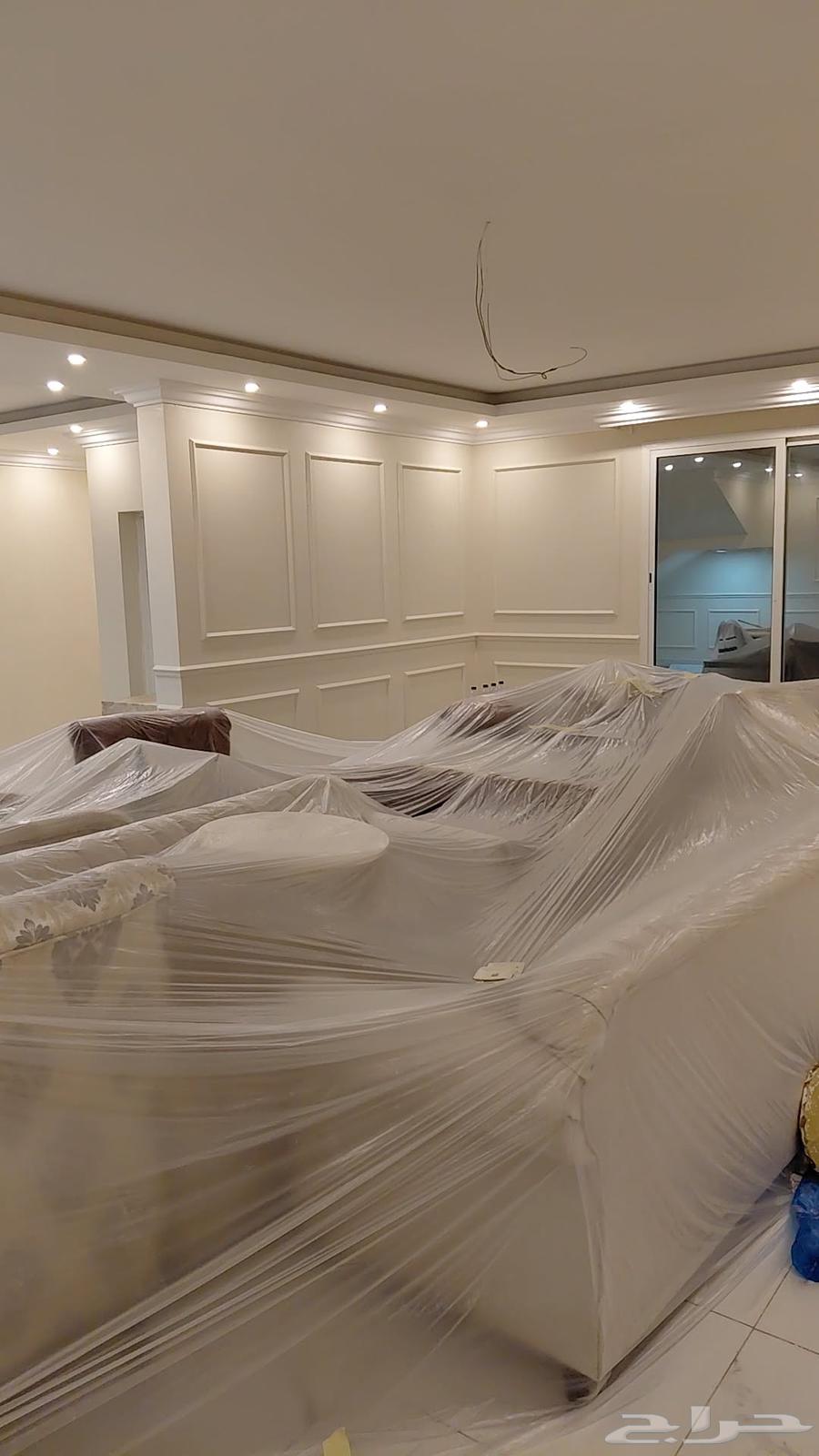 صباغ64445201284867113