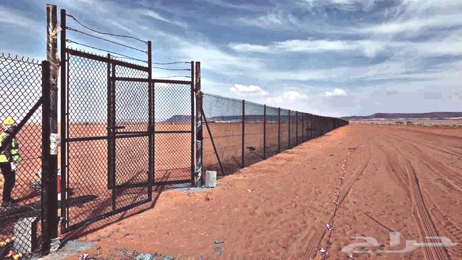 We supply and install all types of awnings and shades, as well as palm tree planting64240299230979111