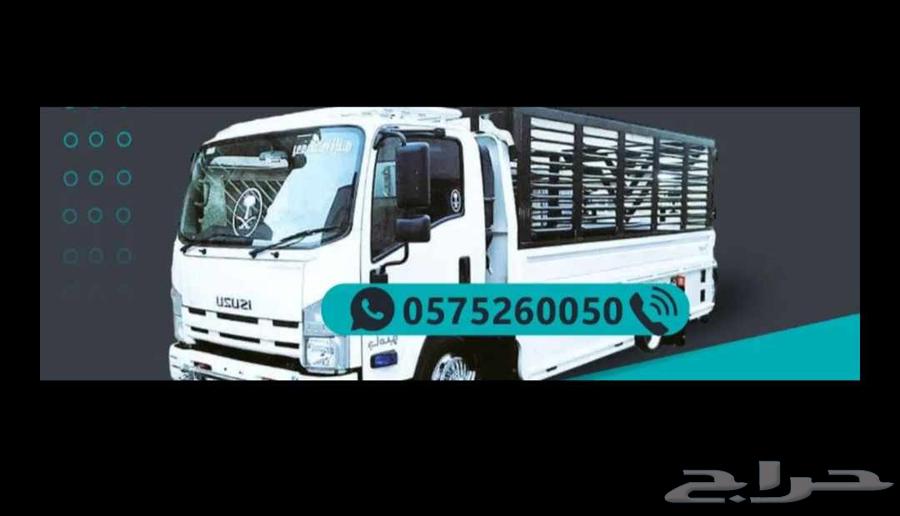 نقل عفش داخل مكه المكرمه وخارجها64244998696194110