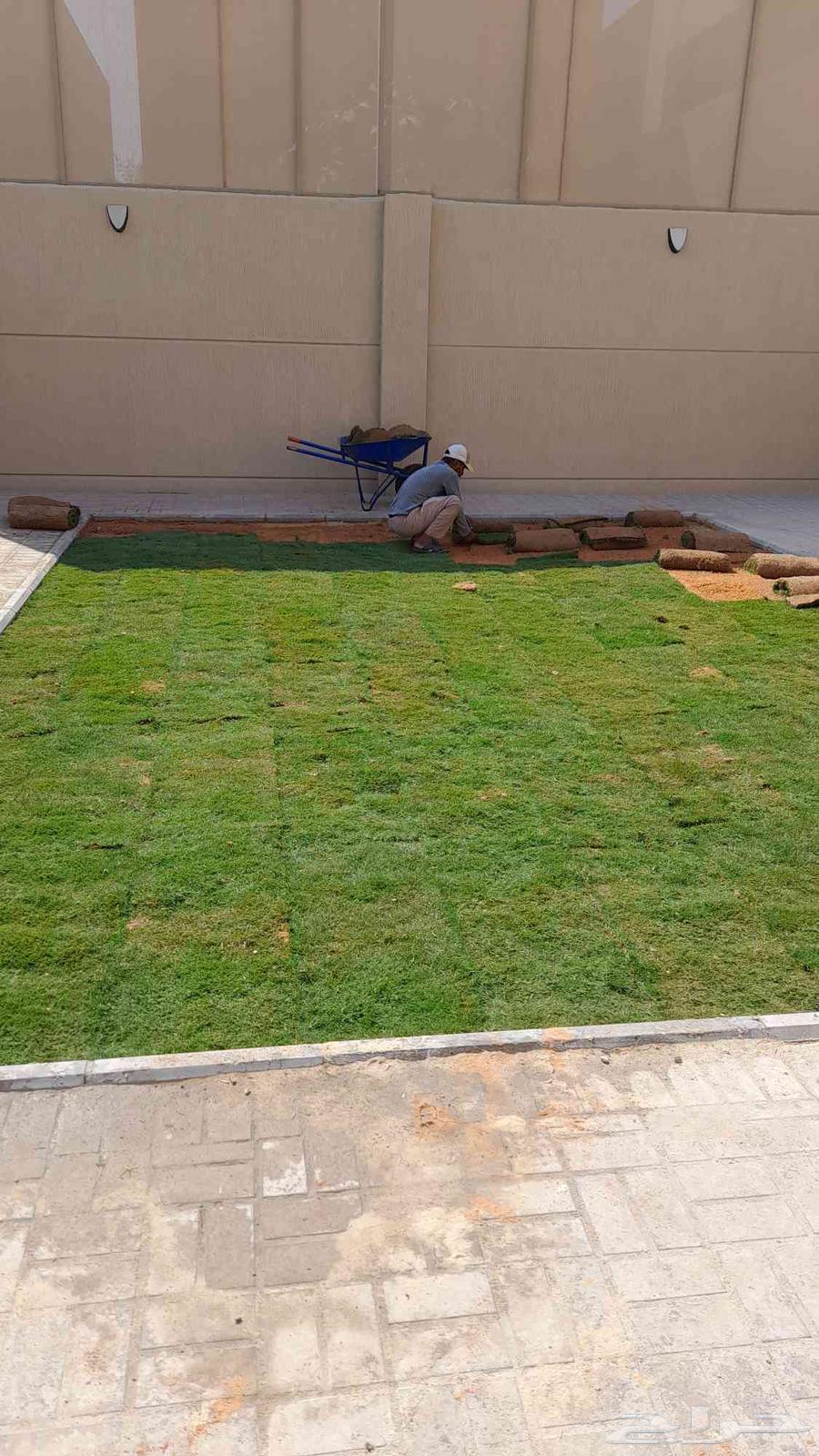تنسيق الحدائق وتركيب العشبه الصناعي والطبيعي64241652084353111