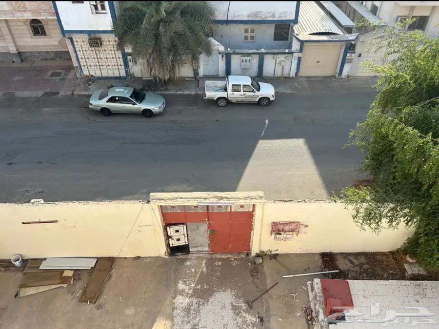 عمارة للبيع بسعر الارض فقط فرصة بجوار الحديقة وامام جامع64239958434561113