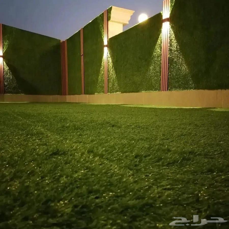 Artificial Grass64241148759938110