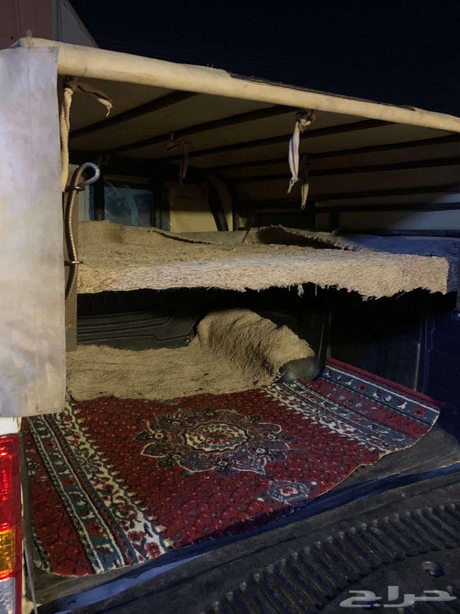 Halal transportation connection from Qurayyat Al-Jouf to all regions of the Kingdom64240954337026111