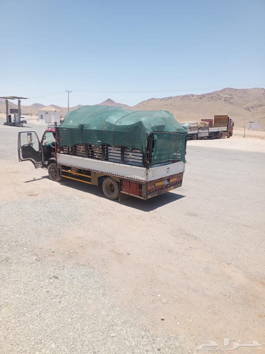 Furniture transportation within and outside Tabuk and all areas of the Kingdom, storage facilities available64240952194562110