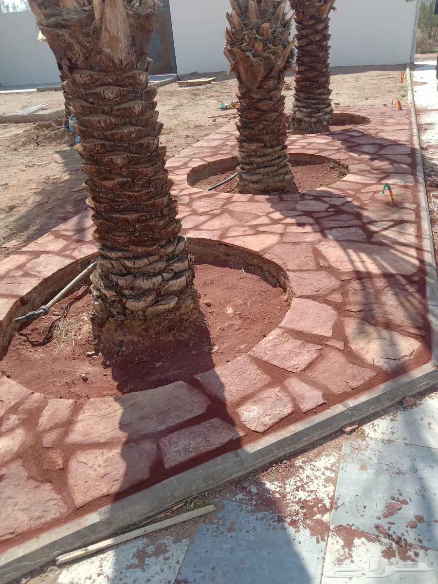 مقوال حجر طبيعي توريد وتركيب العلا حايل القصيم تبوك المد64241845928963111