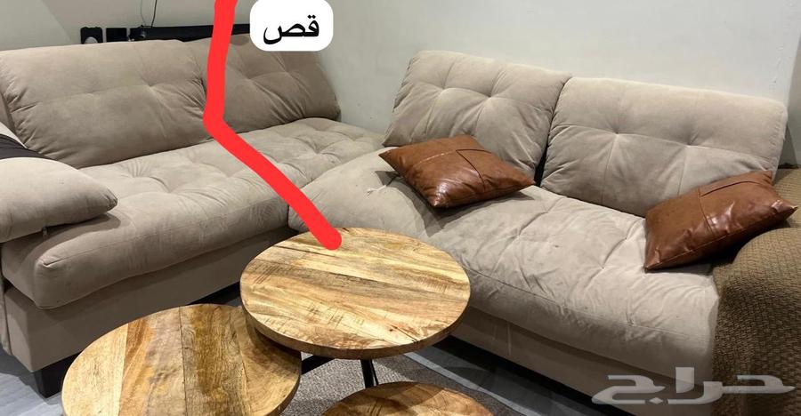 Cutting and repairing new and used sofas on the same day64244668993409110