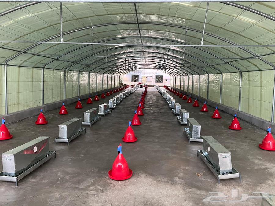 مقاولات بناء بركسات كرفانات محميات حظائر دواجن وغيرها64241317477890114