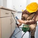 Pest Control Company in Mecca | Pest Spraying Services in Mecca64241653840770112